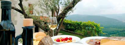 Istrian wine 